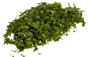 Bladpeterselie extra fijn 100gr